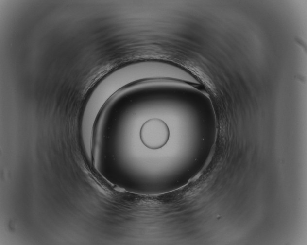X0000093590397200710151208