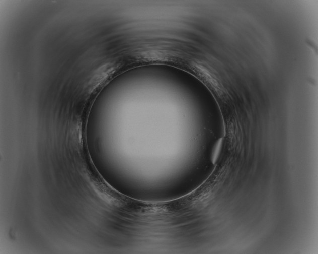 X0000093590398200710151208