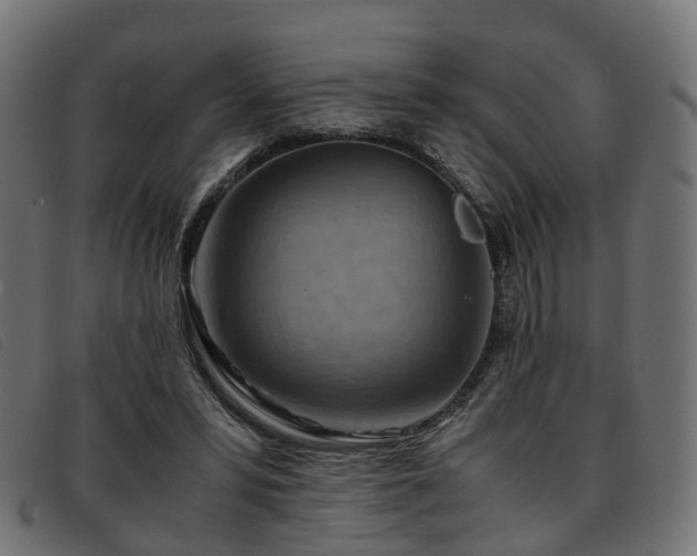 X0000093590399200710151208