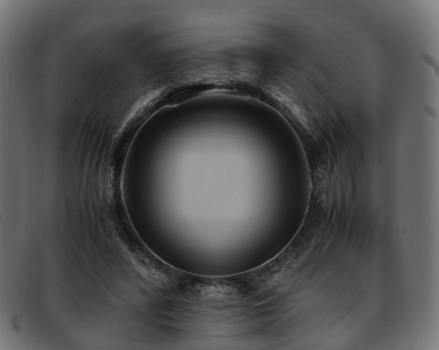 X0000093590400200710151208