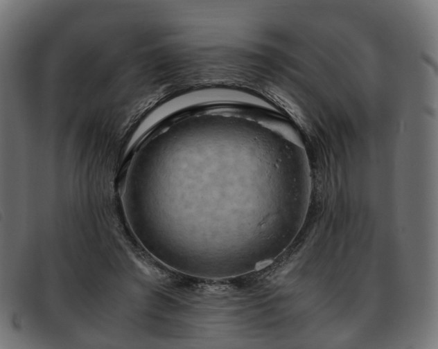 X0000093590401200710151208