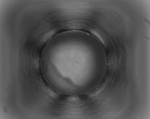 X0000093590402200710151208