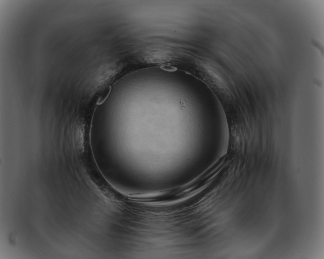 X0000093590404200710151208