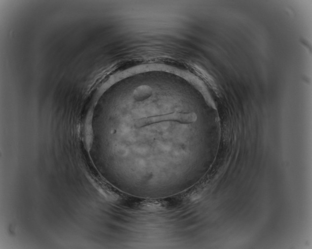 X0000093590405200710151208