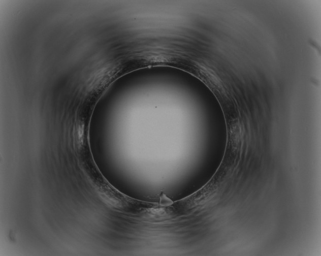 X0000093590406200710151208