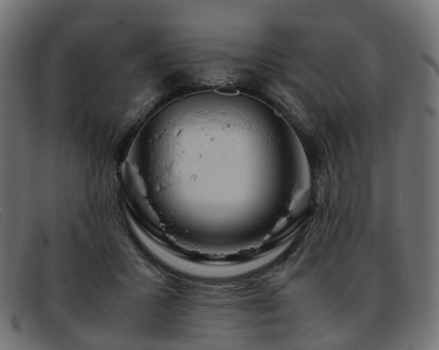 X0000093590407200710151208
