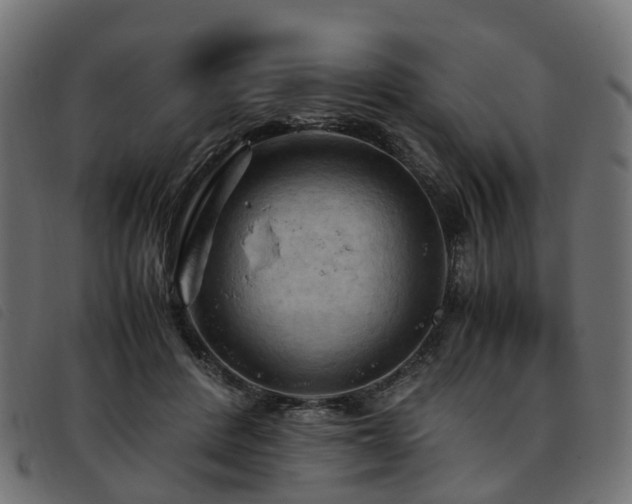 X0000093590408200710151208