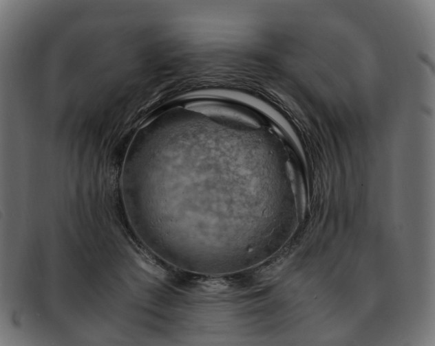 X0000093590409200710151208