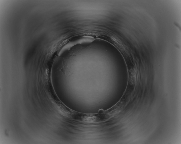 X0000093590410200710151208