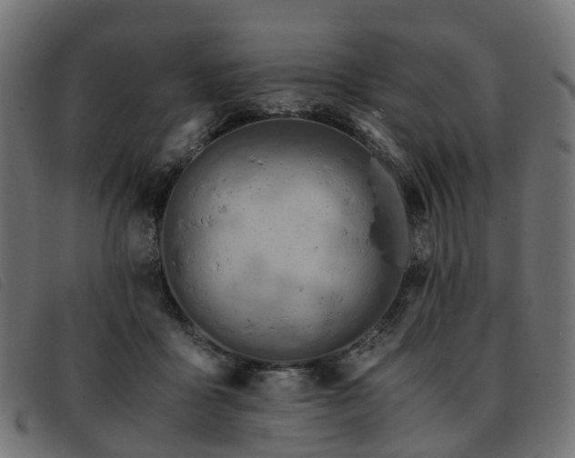 X0000093590411200710151208