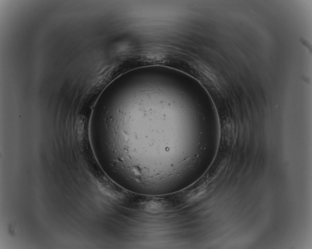 X0000093590412200710151208