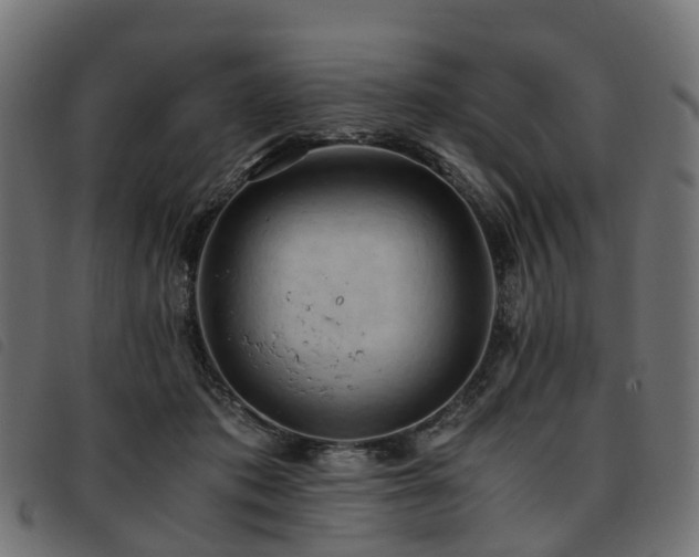 X0000093590413200710151208