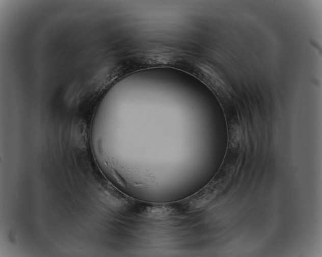 X0000093590414200710151208