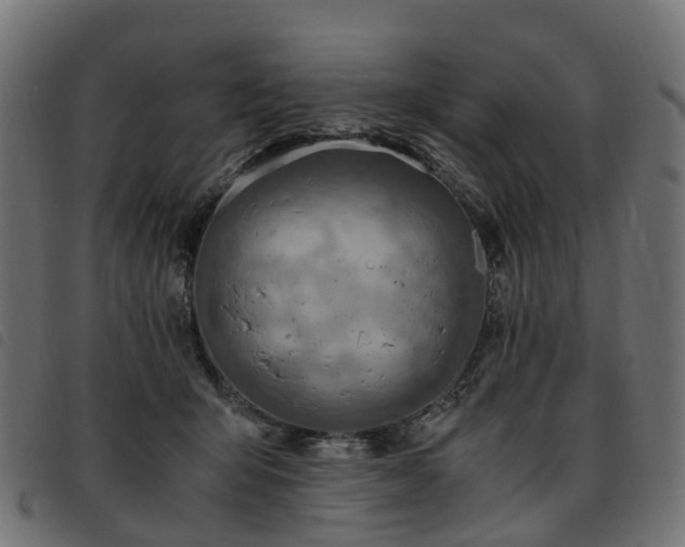 X0000093590415200710151208
