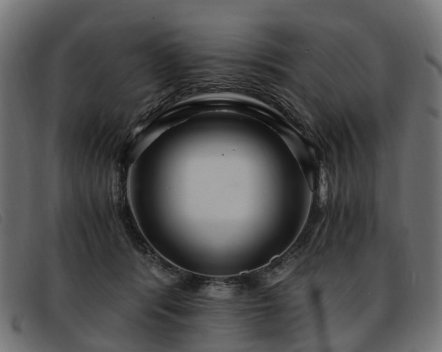 X0000093590416200710151208