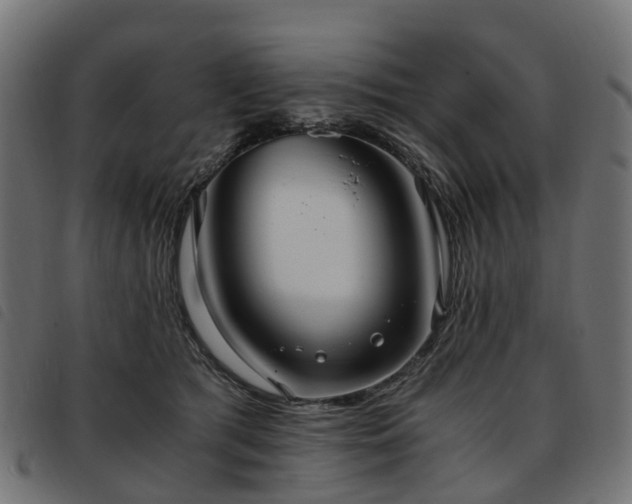 X0000093590417200710151208