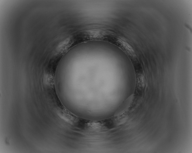 X0000093590419200710151208