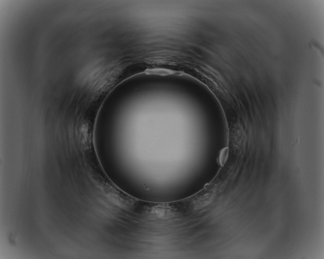X0000093590420200710151208