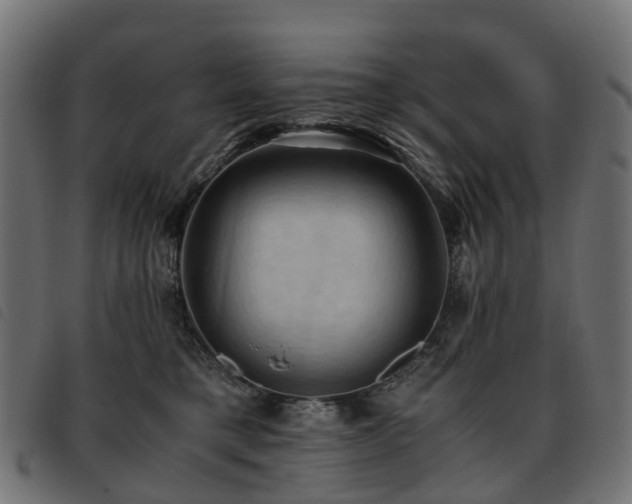 X0000093590421200710151208