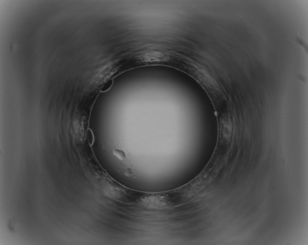 X0000093590422200710151208