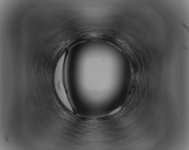 X0000093590423200710151208