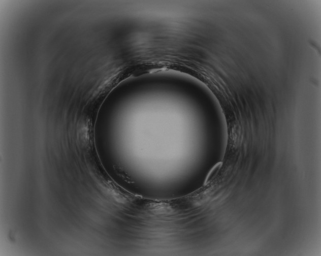 X0000093590424200710151208