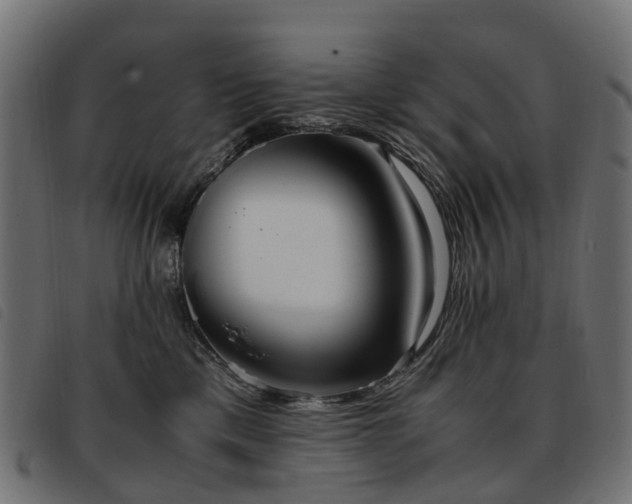 X0000093590425200710151208