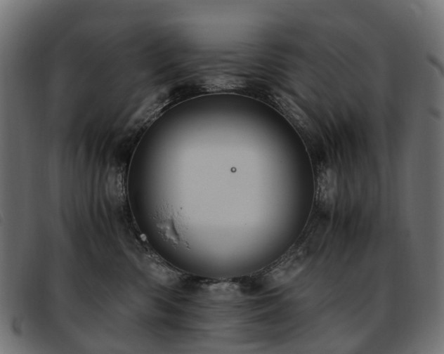X0000093590426200710151208