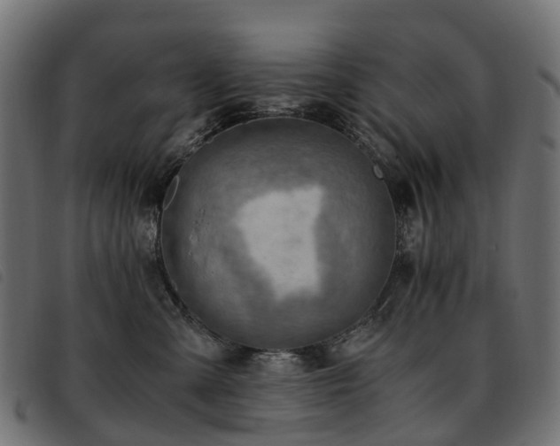 X0000093590427200710151208