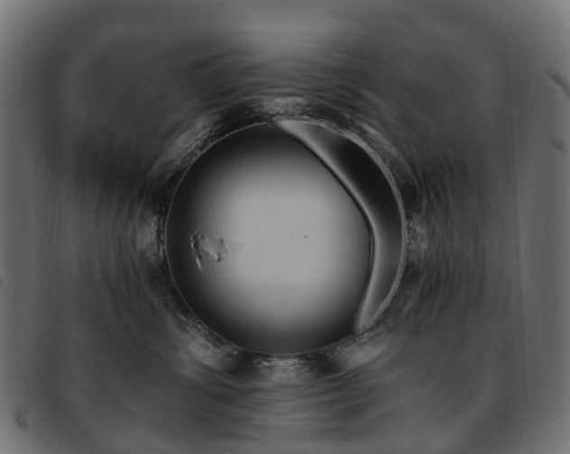 X0000093590428200710151208
