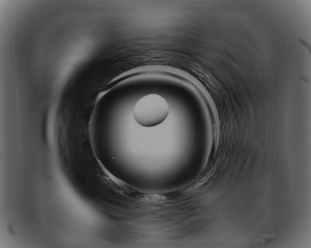 X0000093590429200710151208
