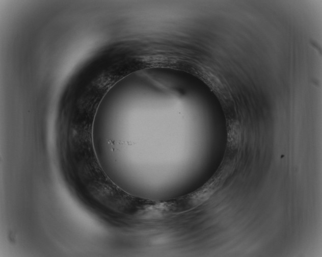 X0000093590430200710151208