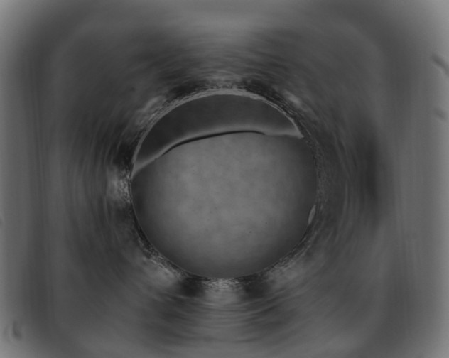 X0000093590432200710151208