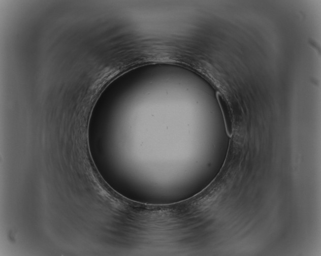 X0000093590433200710151207