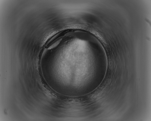 X0000093590434200710151207