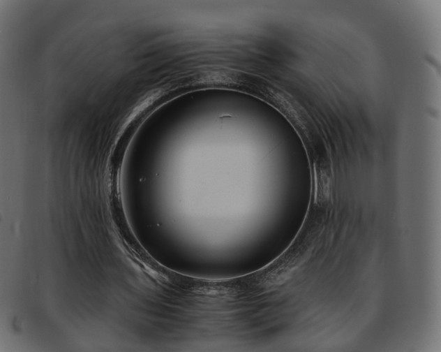X0000093590435200710151207