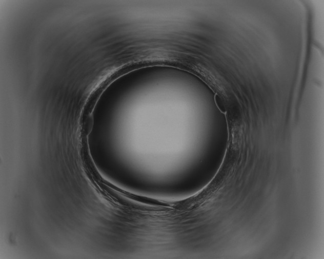 X0000093590436200710151207