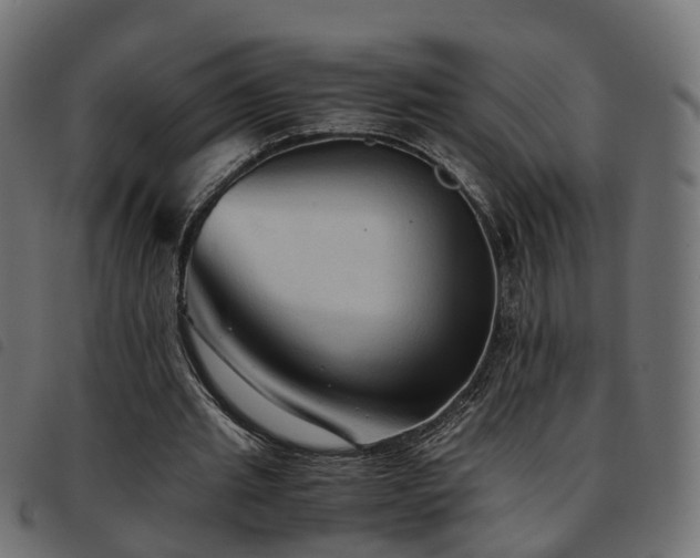 X0000093590437200710151207
