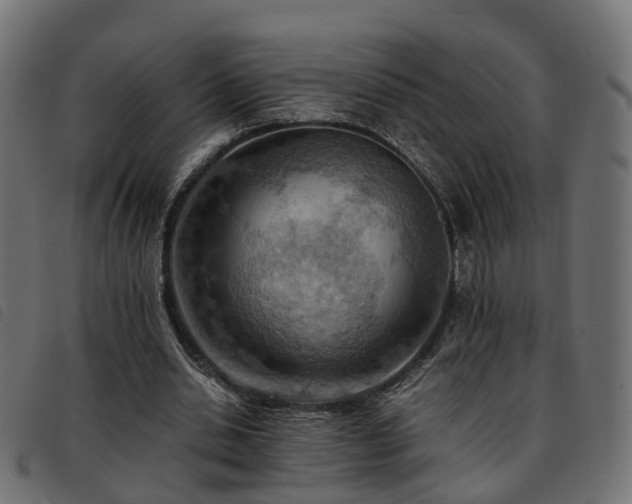 X0000093590438200710151207