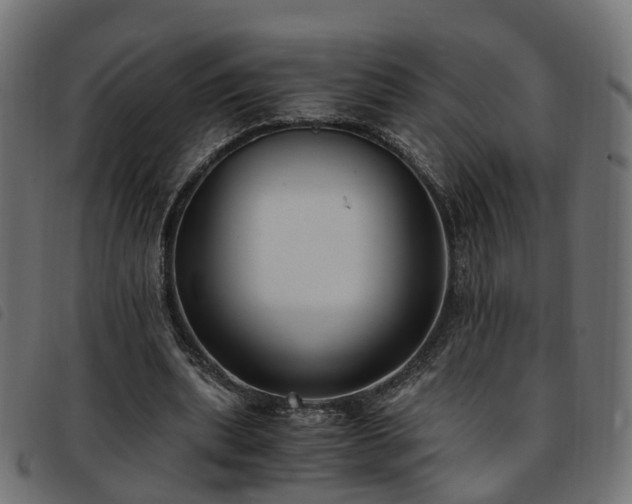 X0000093590439200710151207