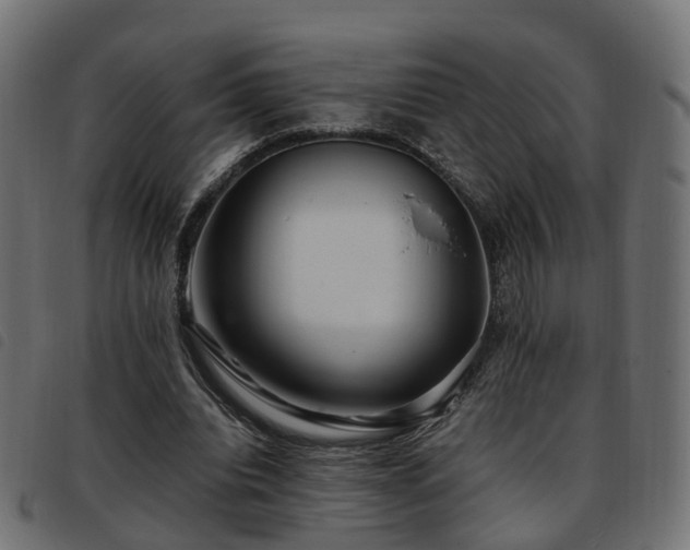 X0000093590440200710151207