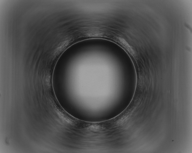 X0000093590441200710151207