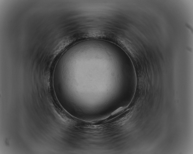 X0000093590443200710151207