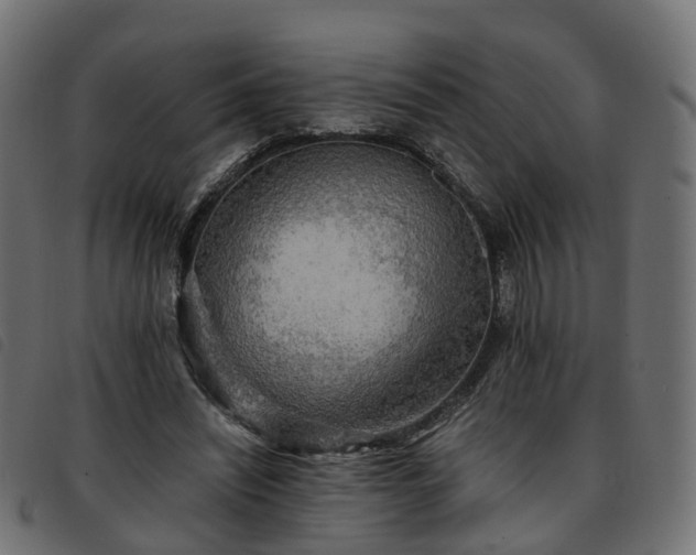 X0000093590444200710151207