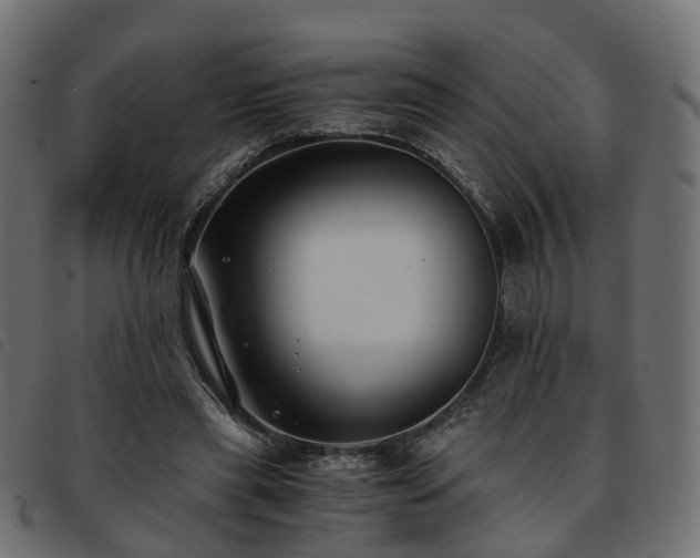 X0000093590445200710151207