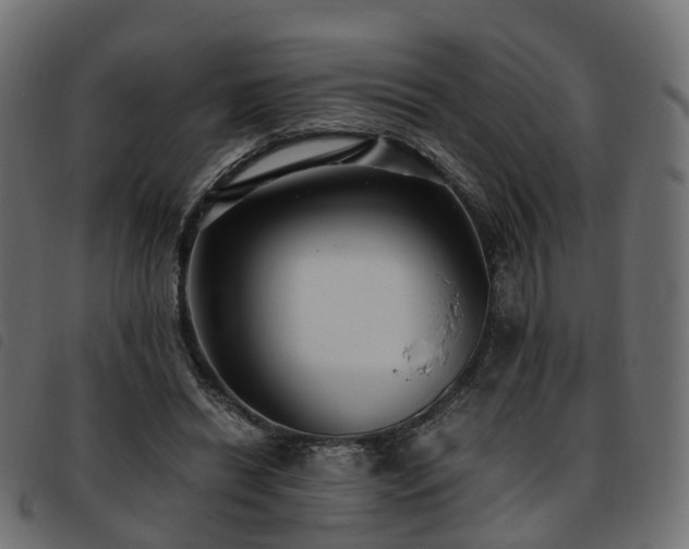 X0000093590446200710151207