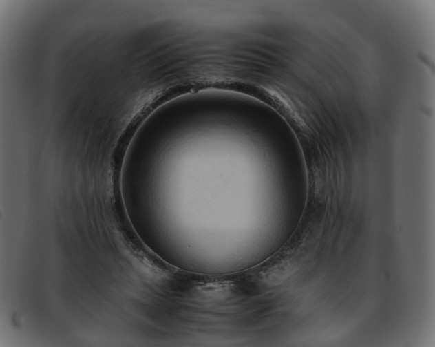 X0000093590447200710151207