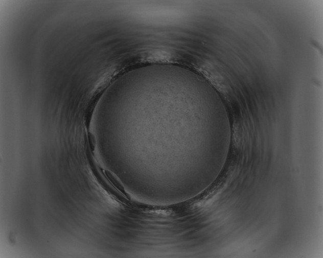 X0000093590449200710151207