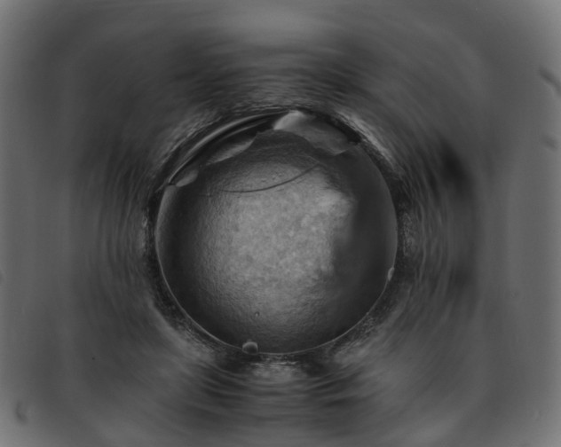 X0000093590451200710151207