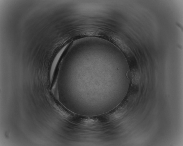 X0000093590453200710151207